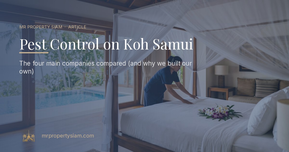 Pest control on Samui — four companies compared