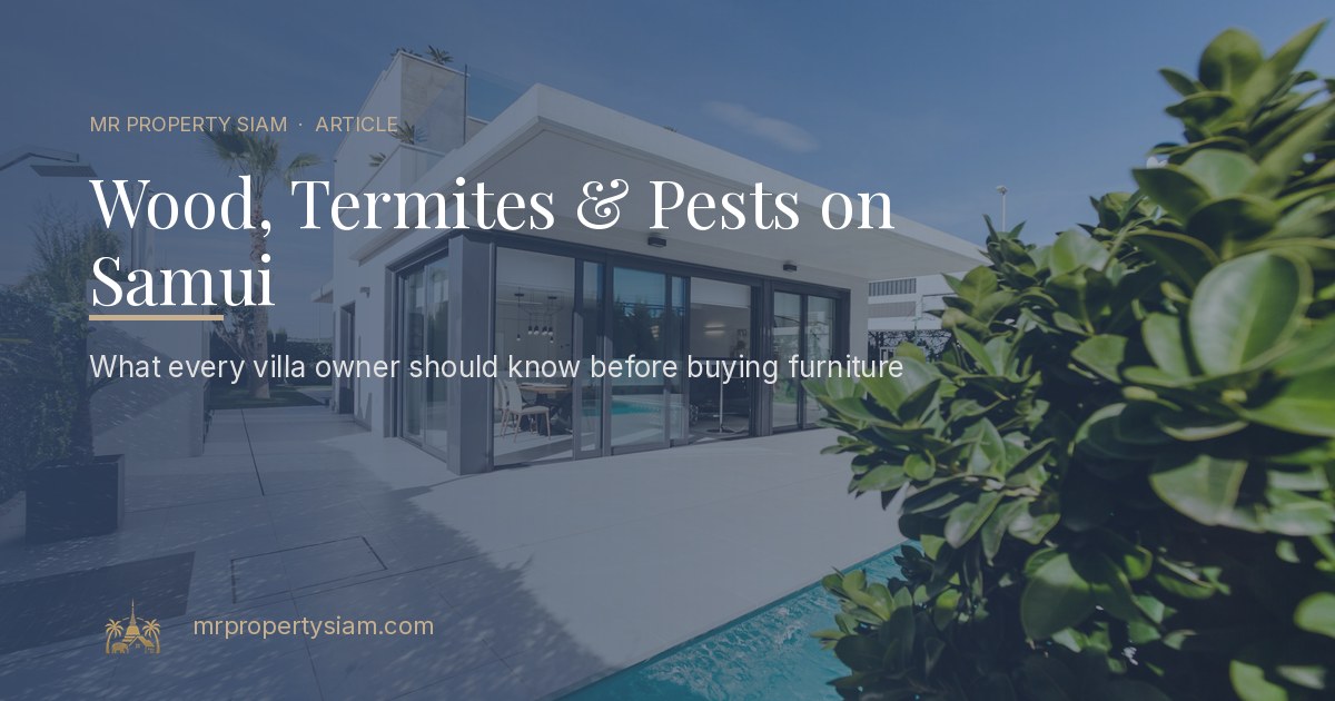Wood, termites and pests on Samui